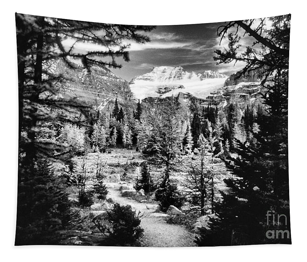 Fine Art Black And White Tapestry featuring the photograph Mount Fay from Larch Valley Trail by Steve Ember