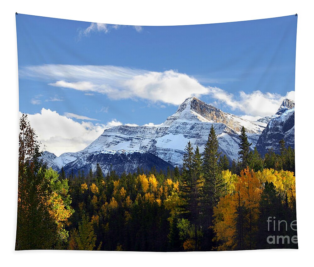 Snowcapped Tapestry featuring the photograph Mount Fryatt second tallest mountain Jasper National Park Alberta Canada by Robert C Paulson Jr