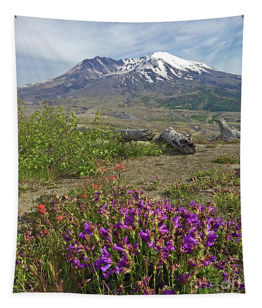 Volcano Tapestry featuring the photograph Mount St. Helens by Tiffany Whisler