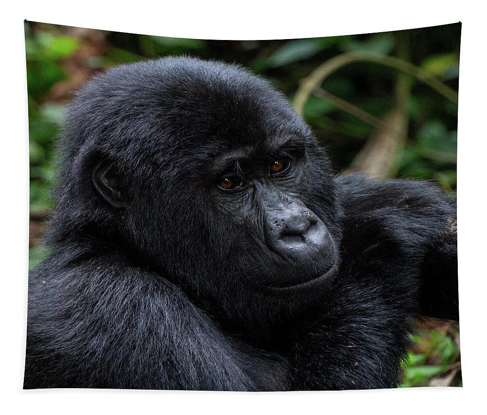 Mountain Gorilla Tapestry featuring the photograph Mountain Gorilla by Peter Kennett