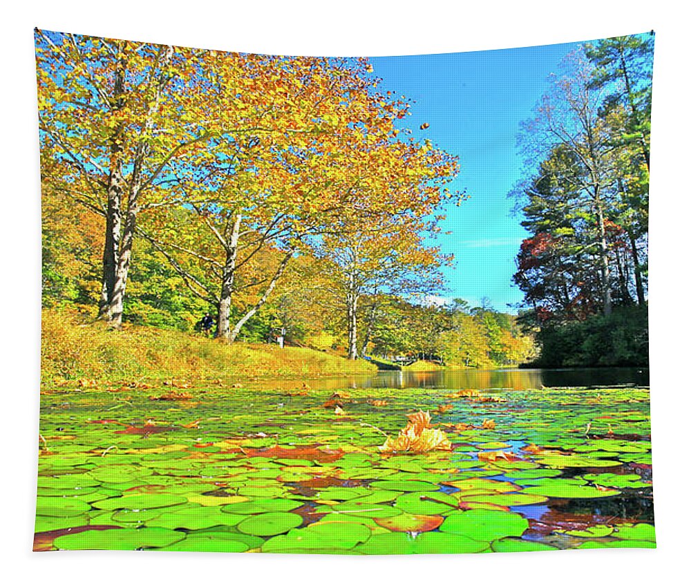 Lily Pads; Blue Ridge Mountains Tapestry featuring the photograph Mountain Lily Pads by The James Roney Collection