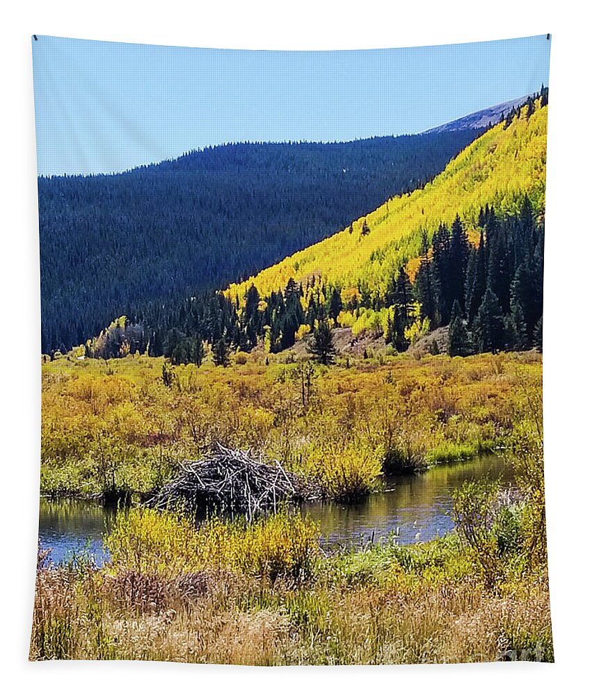 Breckenridge Tapestry featuring the photograph Mountain Time by Elizabeth M