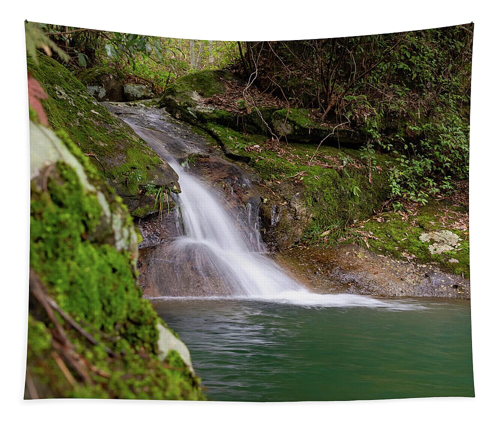 Waterfall Tapestry featuring the photograph Mountain Waterfall II by William Dickman
