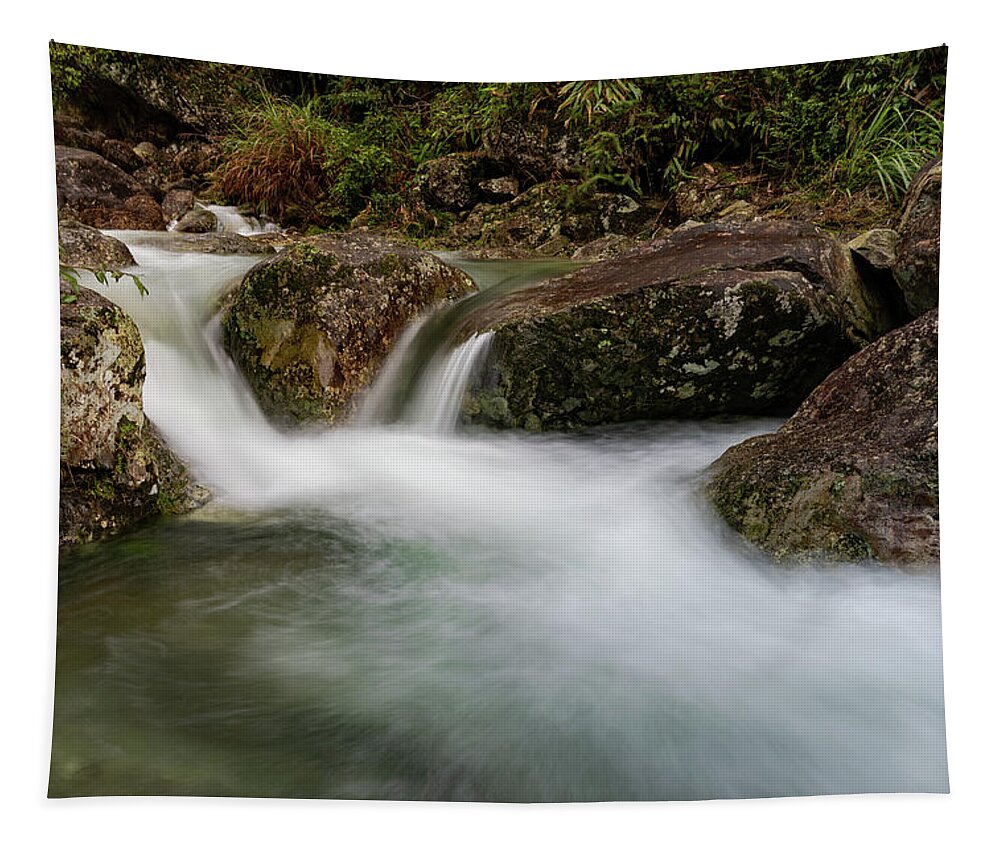 Waterfall Tapestry featuring the photograph Mountain Waterfall IV by William Dickman