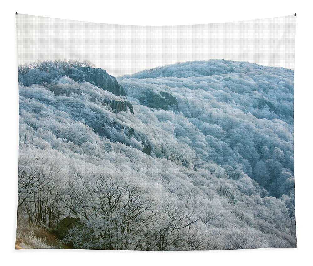 Blue Ridge Tapestry featuring the photograph Mountainside Hoarfrost by Mark Duehmig