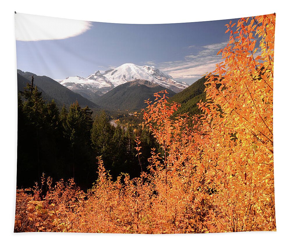 Mt Rainier Tapestry featuring the photograph Mt Rainier, Mt Rainier National Park, Washington by Marsha Williamson Mohr
