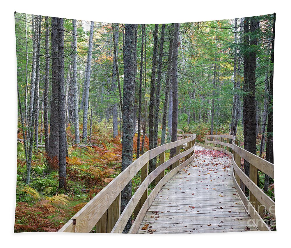 Boardwalk Tapestry featuring the photograph Mud Pond Trail - Pondicherry Wildlife Refuge, New Hampshire by Erin Paul Donovan