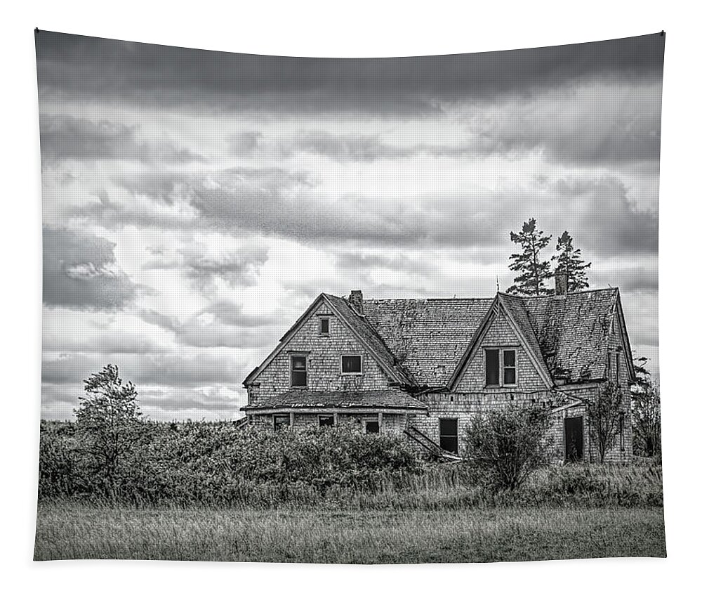 Murray River Road Tapestry featuring the photograph Murray Habour Road - Abandoned House by Douglas Wielfaert