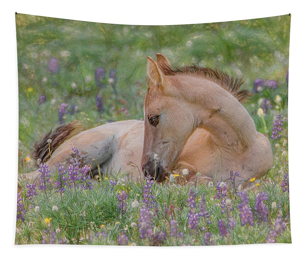 Wild Mustangs Tapestry featuring the photograph Wild Mustang Foal in the Wildflowers by Marcy Wielfaert