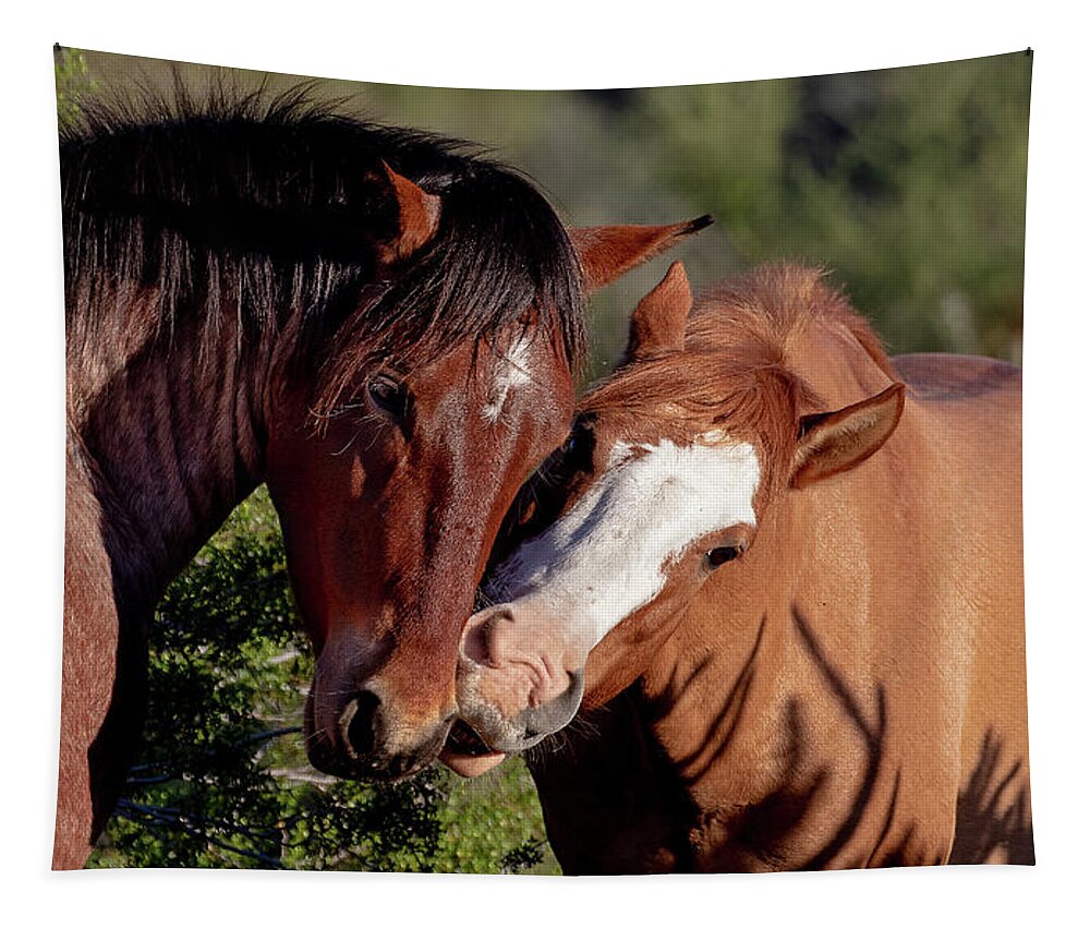 Wild Horses Tapestry featuring the photograph Mustang Greeting by Mindy Musick King