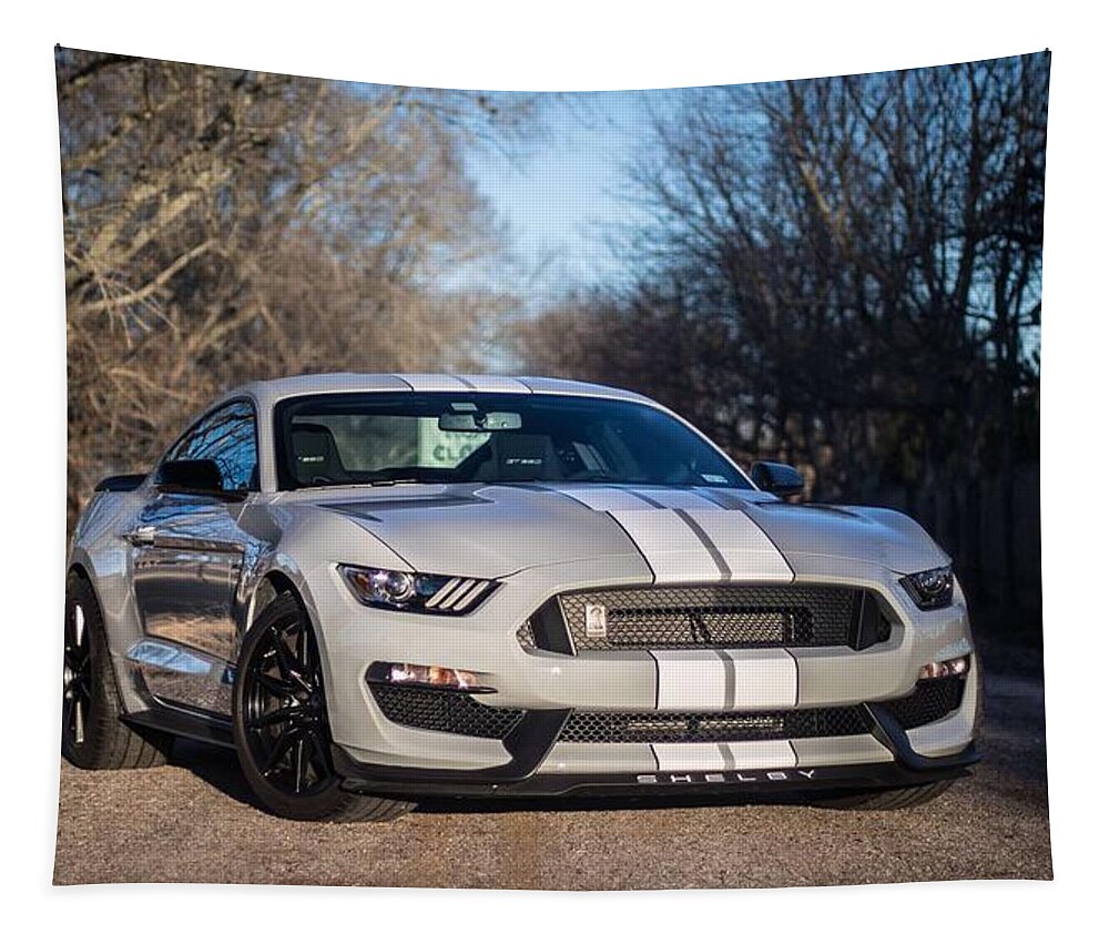 Car Mustang Gt350 Tapestry featuring the photograph Mustang GT 350 by Rocco Silvestri