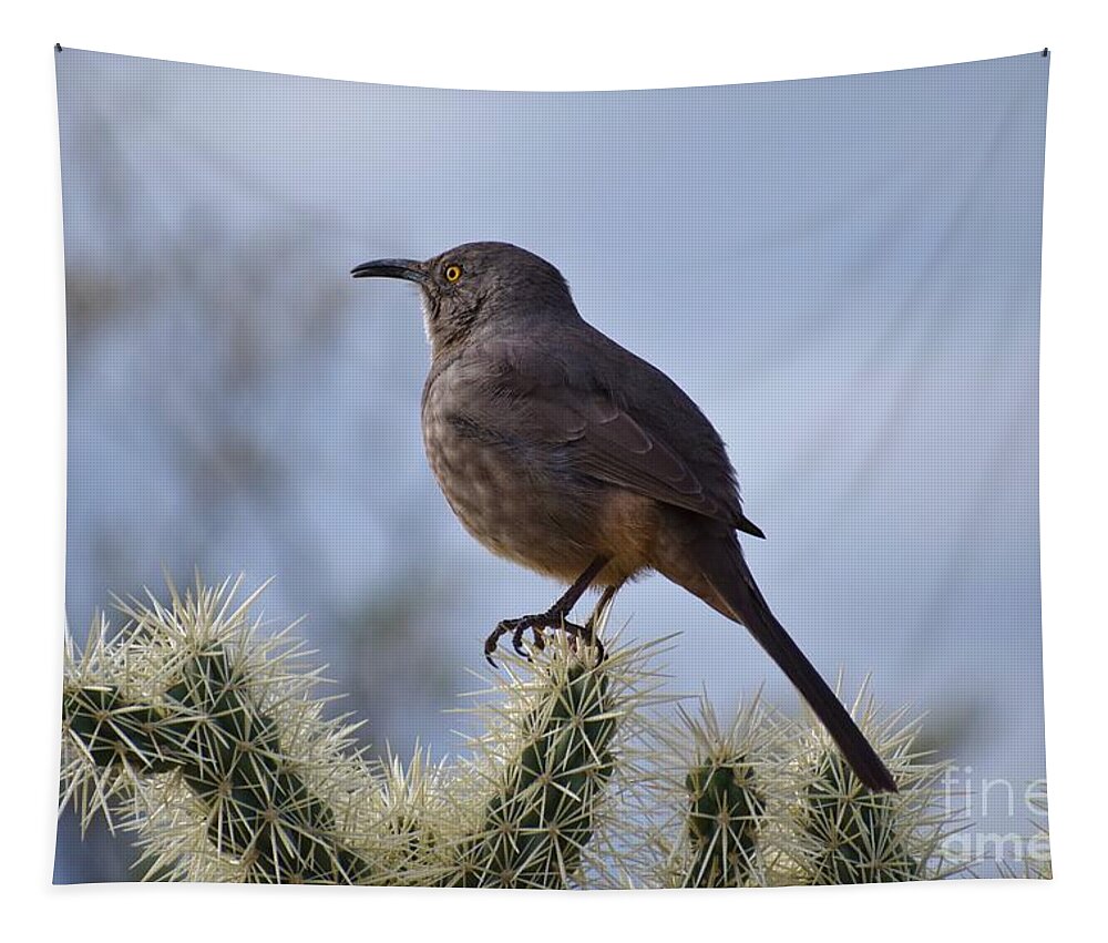 Curve-billed Thrasher Tapestry featuring the photograph My Feet Are Killing Me by Janet Marie