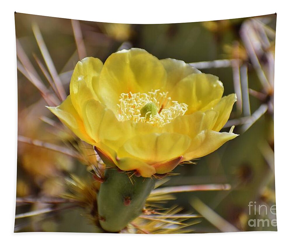Arizona Tapestry featuring the photograph My Time To Glow by Janet Marie