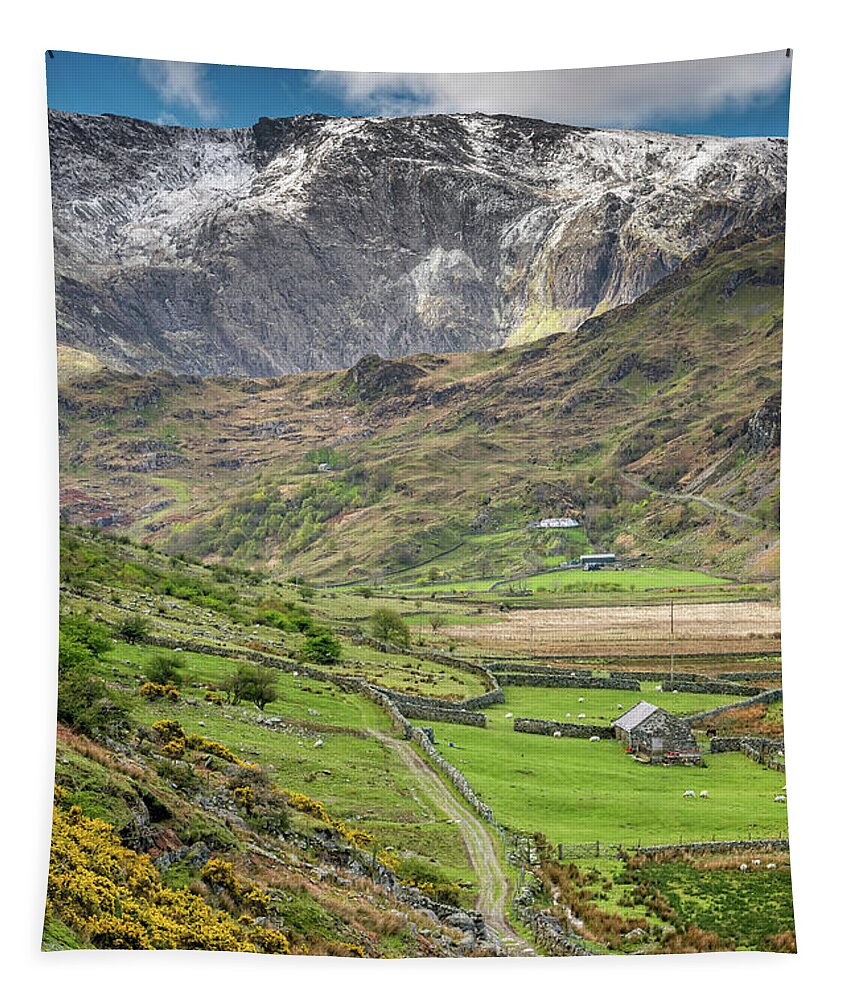 Nant Ffrancon Tapestry featuring the photograph Nant Ffrancon Pass Wales by Adrian Evans