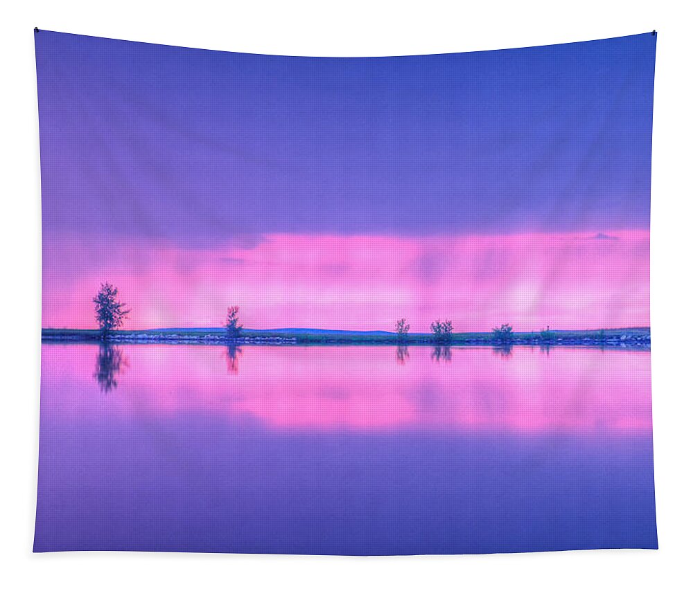 Landscape Tapestry featuring the photograph Natural Minimalism by Fiskr Larsen