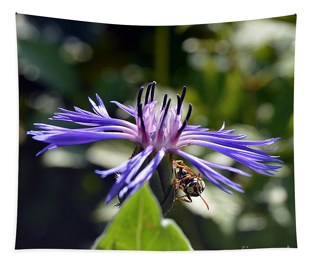 Bee Tapestry featuring the photograph Nature by Thomas Schroeder