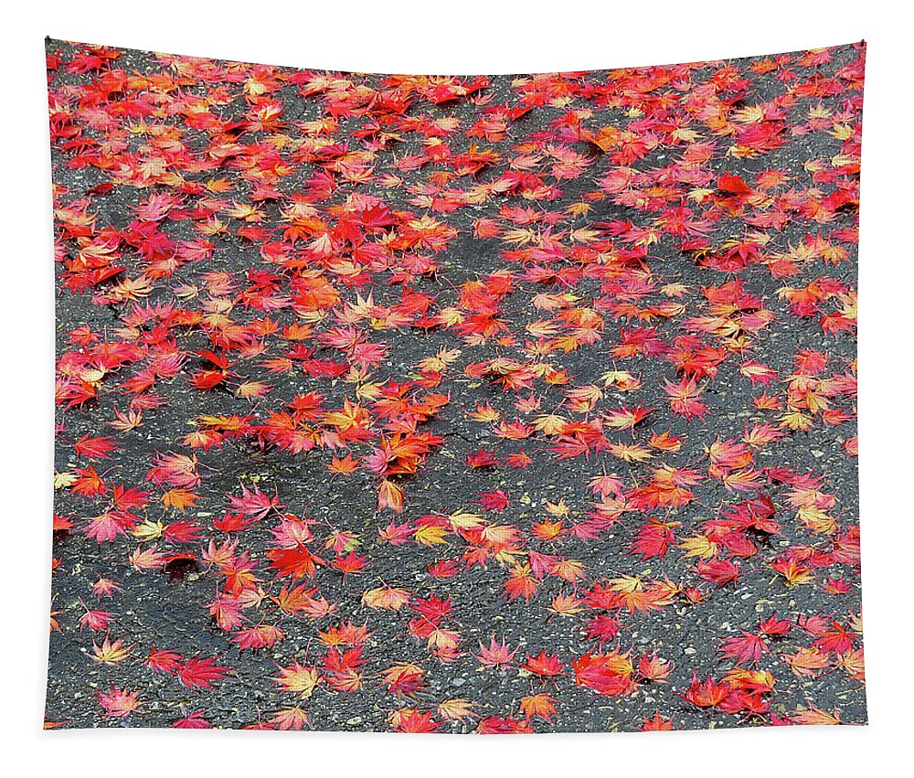 Autumn Tapestry featuring the photograph Nature's Confetti by Linda Stern