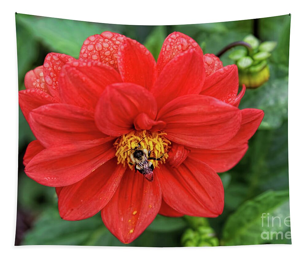 Flower Tapestry featuring the photograph Natures Nectar by Joan Bertucci