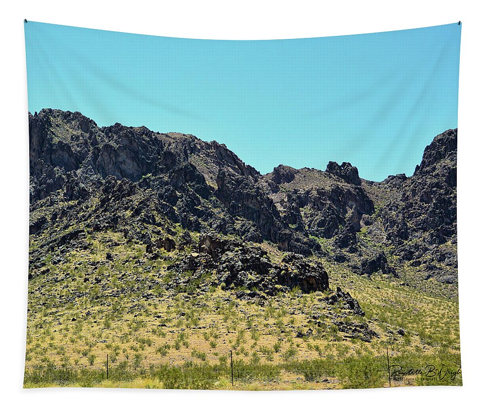 Top Seller Tapestry featuring the photograph Nevada Countryside by Paulette B Wright