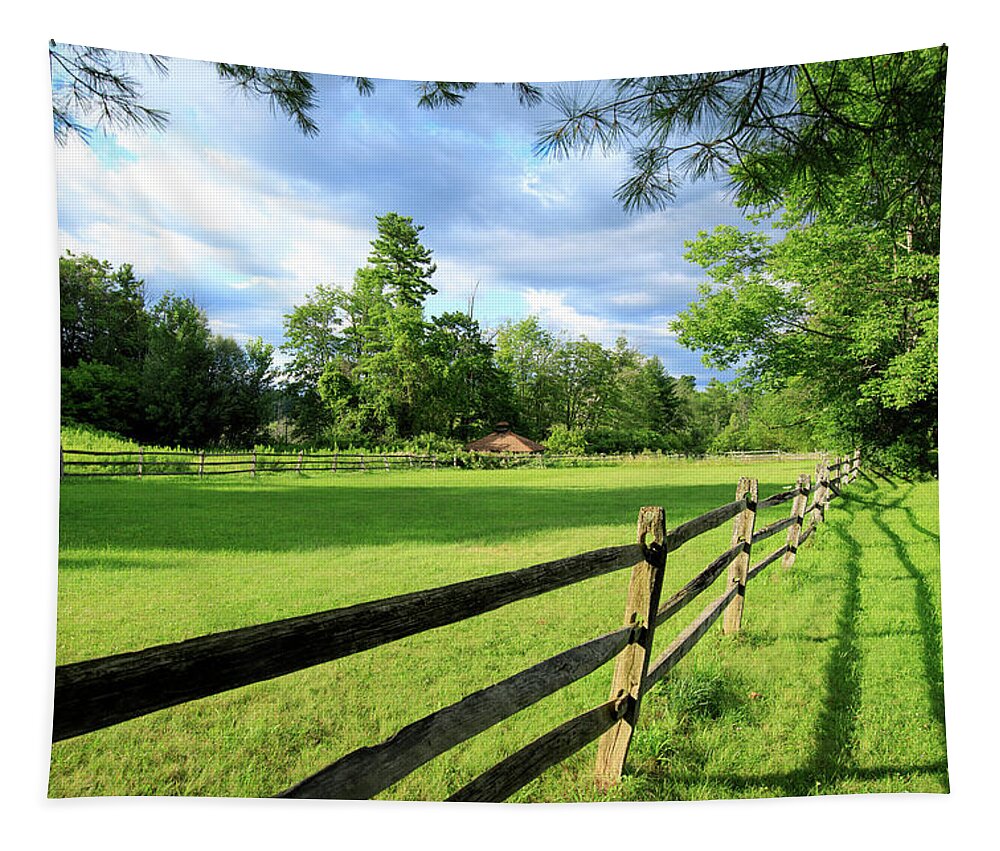 New England Tapestry featuring the photograph New England Field #1620 by Michael Fryd