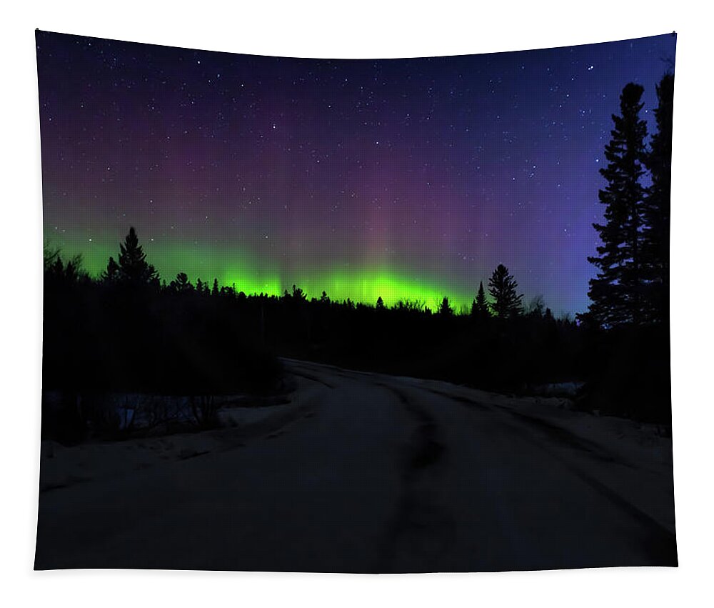 Northern Lights Tapestry featuring the photograph Night Dancer by Susan Rissi Tregoning
