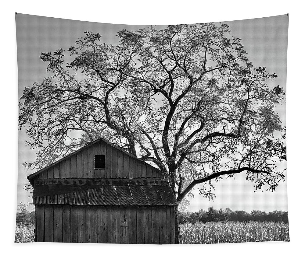No More Mail Pouch Tapestry featuring the photograph No More Mail Pouch by Edward Smith