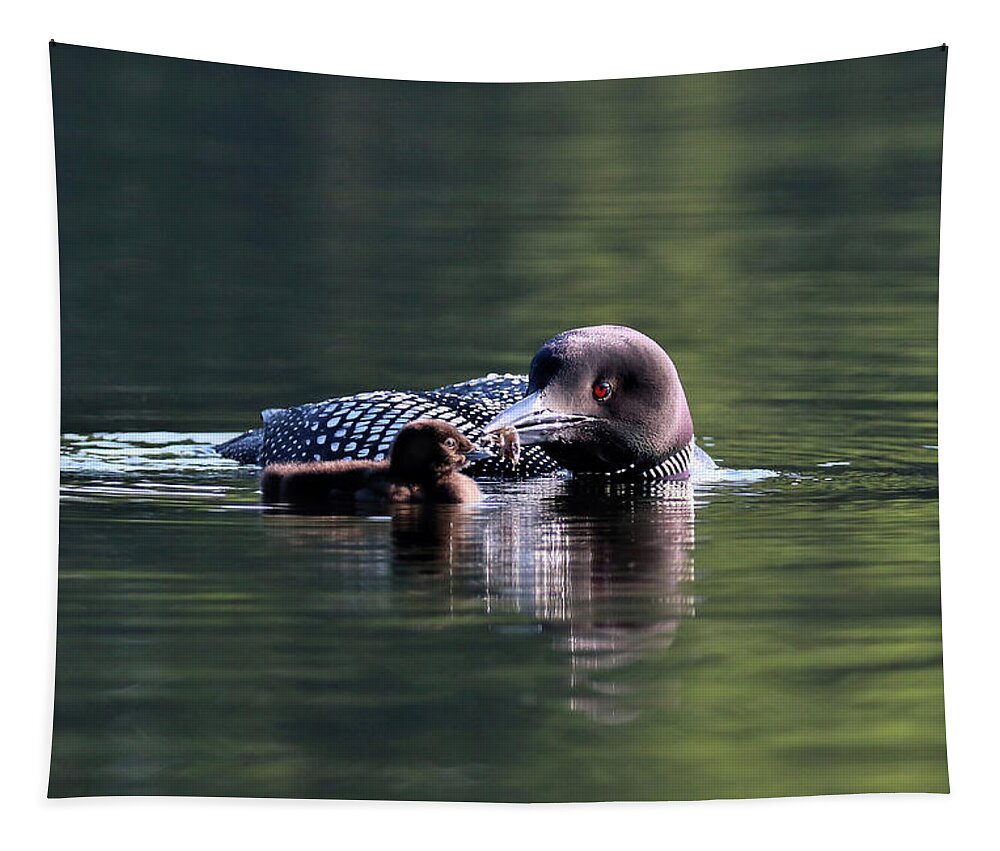 Common Loon Tapestry featuring the photograph No Thanks by Sandra Huston