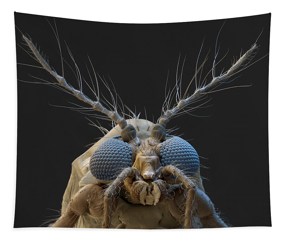 Animal Tapestry featuring the photograph Nonbiting Midge, Chironomidae Sp., Sem by Meckes/ottawa