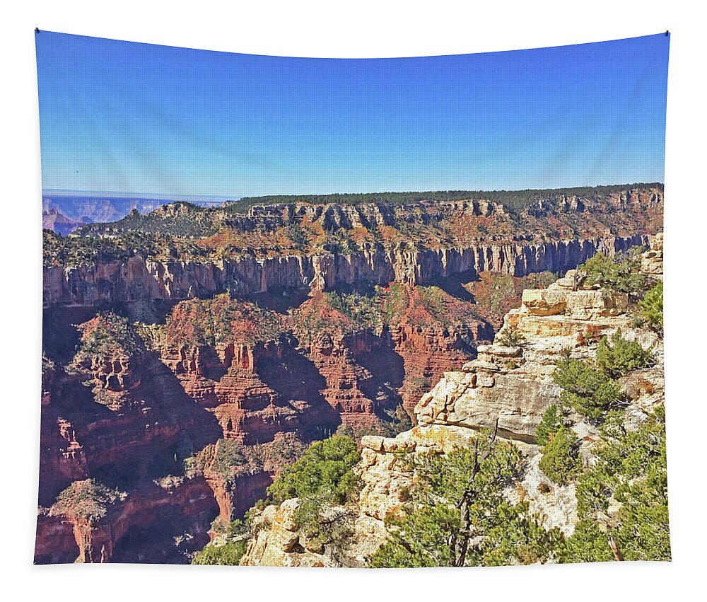 North Rim Grand Canyon Vista Mountains Trees Scrub Tapestry featuring the photograph North Rim Grand Canyon Vista mountains trees scrub11641164 by David Frederick