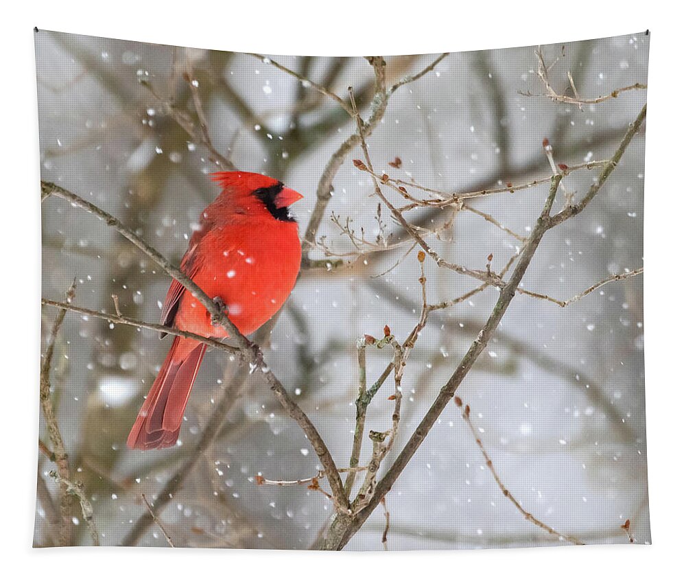 Cardinal Tapestry featuring the photograph Northern Cardinal in Snow #1 by Mindy Musick King