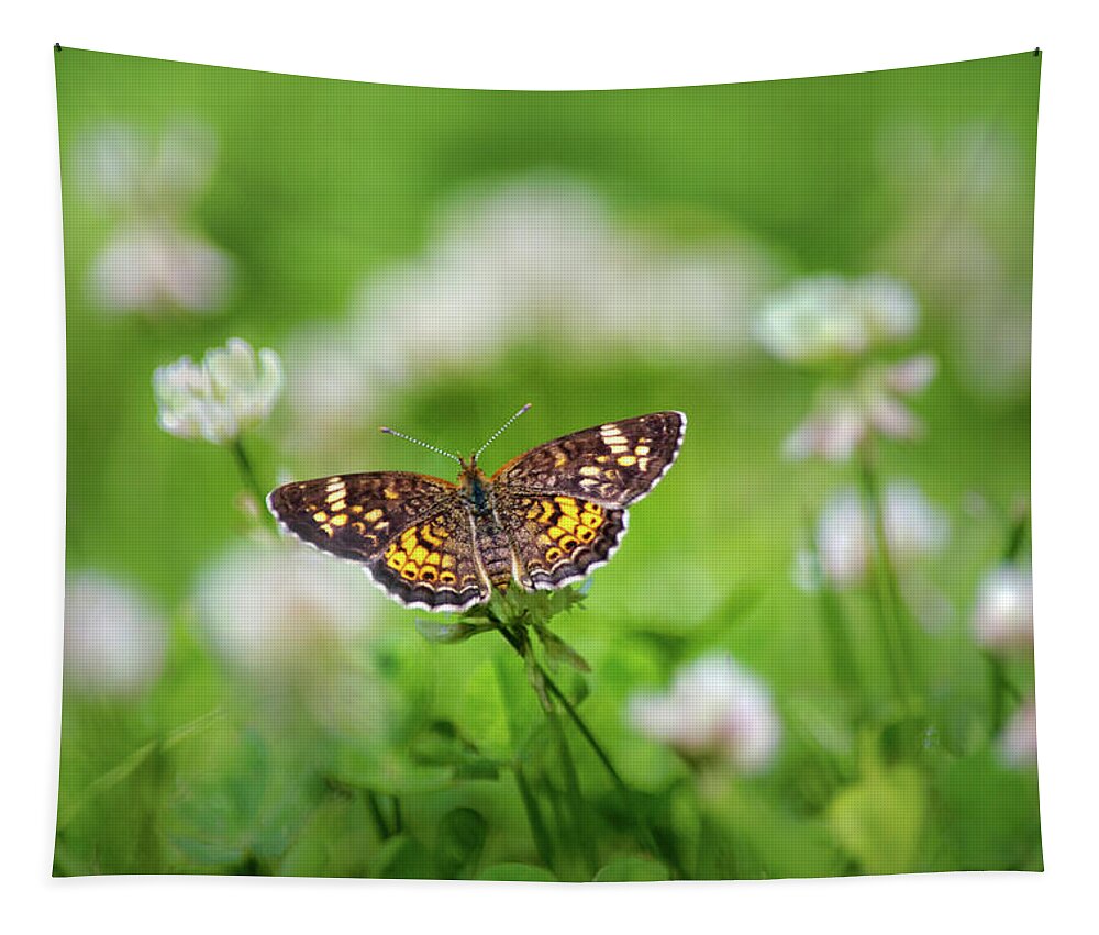 Butterfly Tapestry featuring the photograph Northern Crescent Butterfly by Christina Rollo