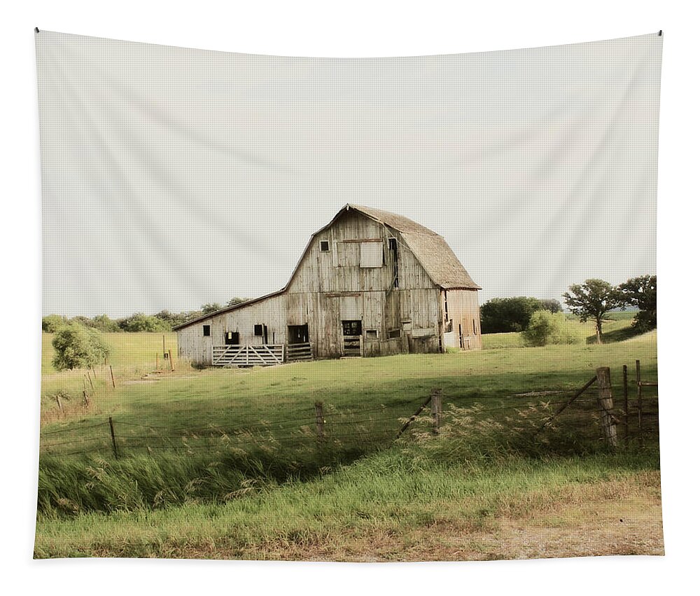 Barn Tapestry featuring the photograph Not What I Once Was by Julie Hamilton