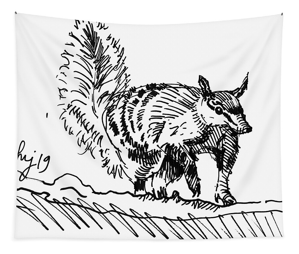 Numbat Tapestry featuring the drawing Numbat Noombat Walpurti Drawing by Mike Jory