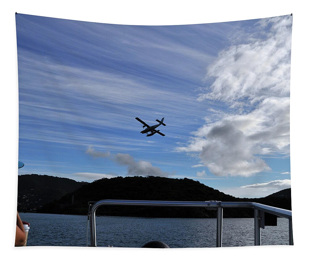 Seaplane Tapestry featuring the photograph Observer by Climate Change VI - Sales