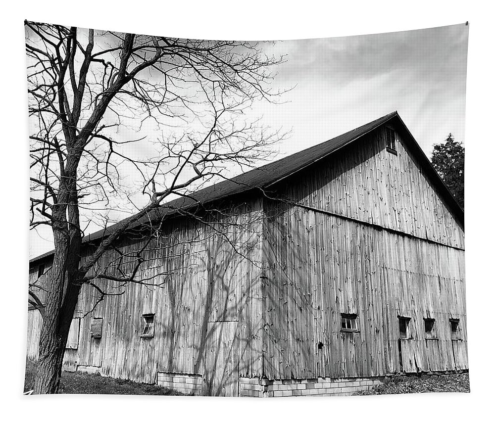 Ohio Barn Tapestry featuring the photograph Ohio Barn by Edward Smith