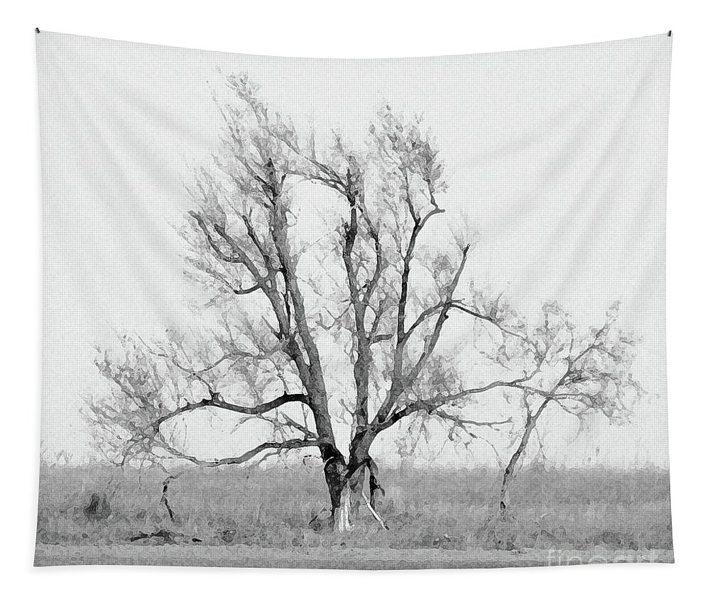 Tree Tapestry featuring the digital art Oklahoma Tree by Cheryl McClure