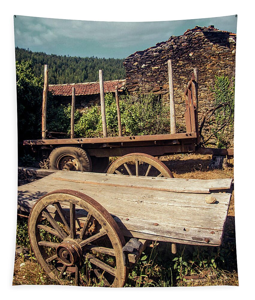 Wagon Tapestry featuring the photograph Old Abandoned Wagons by Carlos Caetano