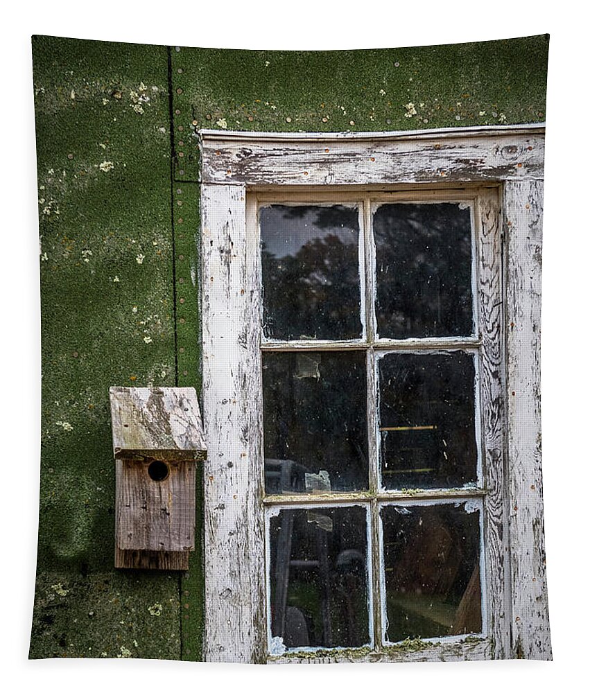 Barn Tapestry featuring the photograph Old Barn Window by Paul Freidlund