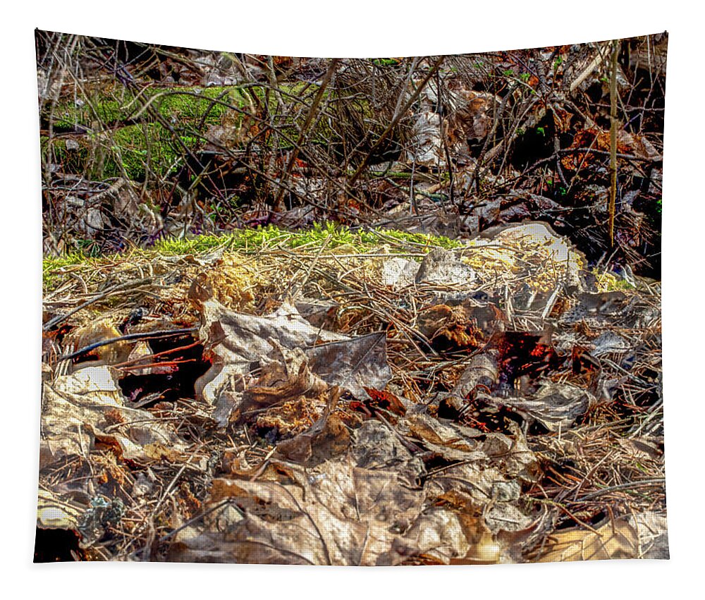 Old Forest Find 1 Tapestry featuring the photograph Old Forest Find 1 #i6 by Leif Sohlman