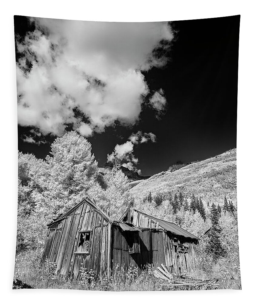 Colorado Tapestry featuring the photograph Old Shack in Colorado II by Jon Glaser
