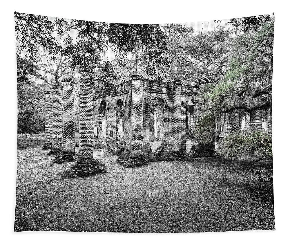 Ruins Tapestry featuring the photograph Old Sheldon Ruins by Scott Hansen