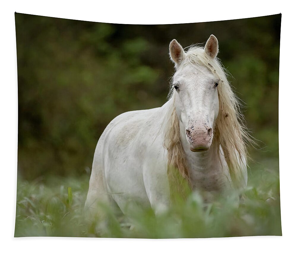 Wild Horse Tapestry featuring the photograph Ombre by Holly Ross