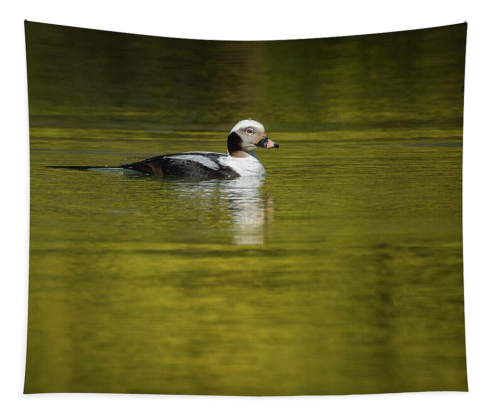 On A Golden Pond Tapestry featuring the photograph On a Golden Pond by Todd Henson