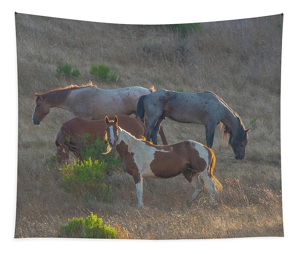 Mustang Tapestry featuring the photograph On guard by Patricia Dennis