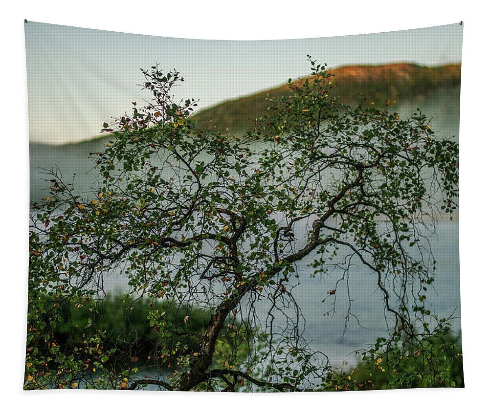 Landscape Tapestry featuring the photograph On the misty river bank by Pekka Sammallahti