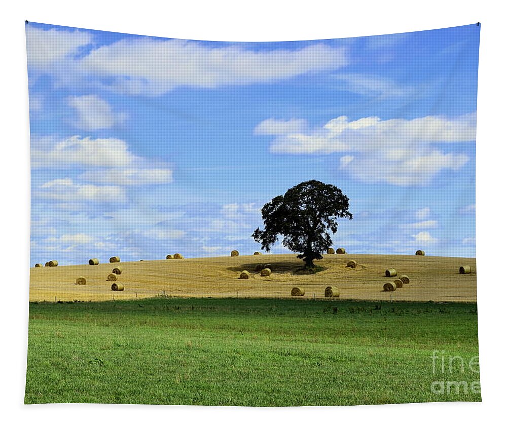 Tree Tapestry featuring the photograph One Tree Hill by Joe Cashin