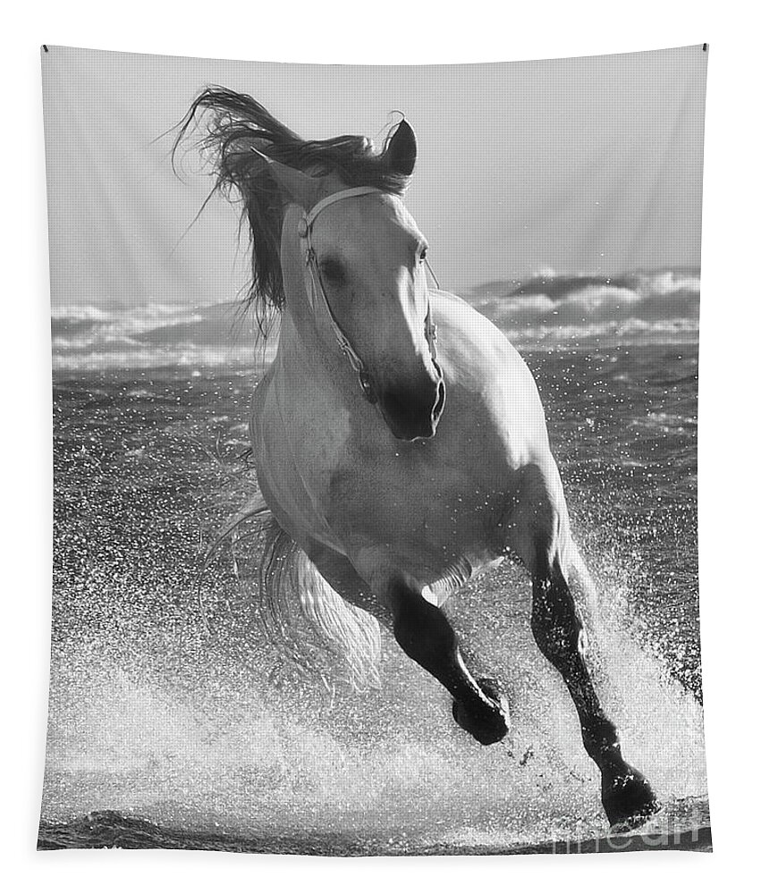Stallion Tapestry featuring the photograph One with the Sea by Jody Miller