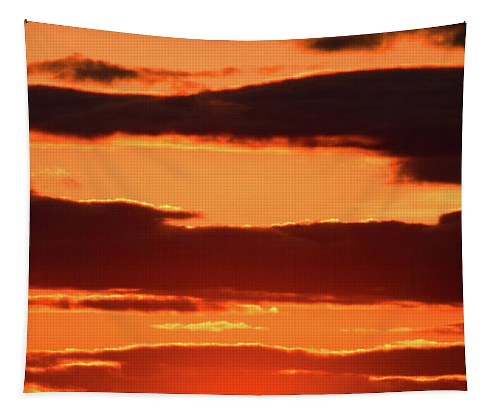 Orange Tapestry featuring the photograph Orange and Black by William Selander