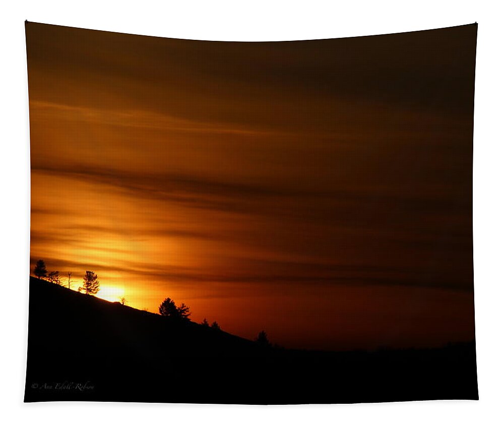 Orange Sunrise Tapestry featuring the photograph Orange Dawn by Ann E Robson