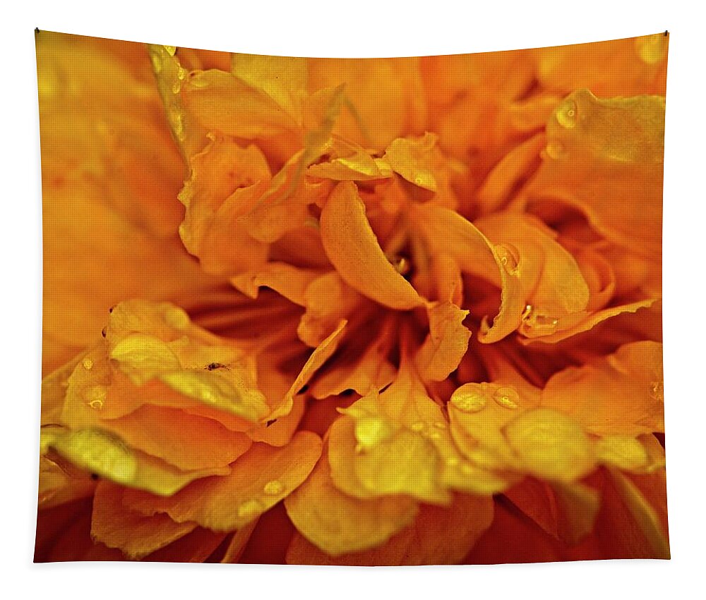 Nature Tapestry featuring the photograph Orange Kist by John Benedict